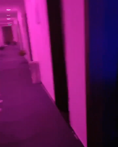201851lgzvll1glnqg1jn1.png